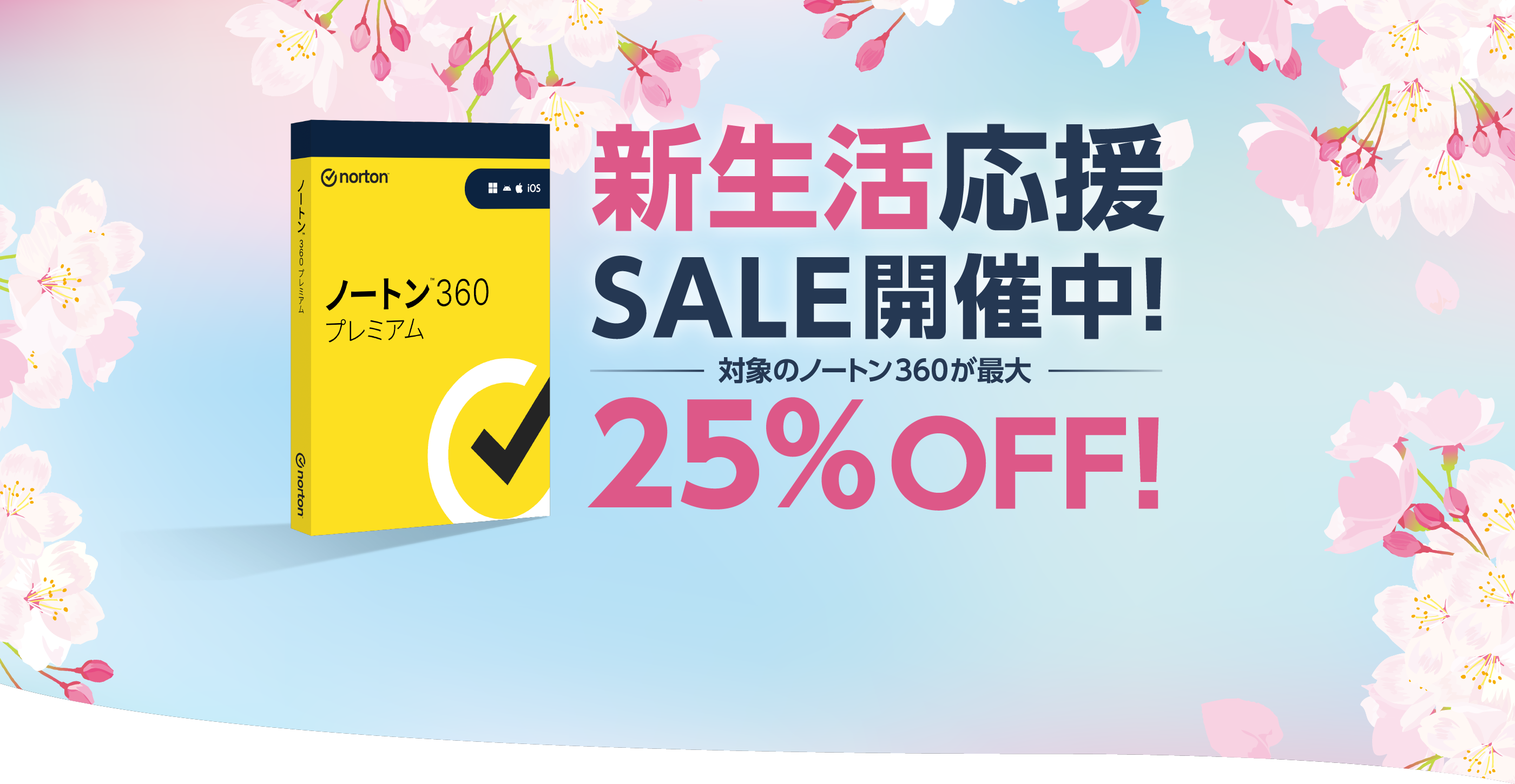 BLACK FRIDAY SALE開催中